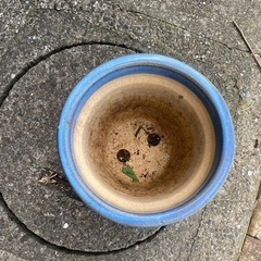 植木鉢 (非対面式　取引希望) の画像