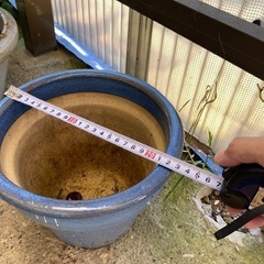 植木鉢 (非対面式　取引希望) の画像