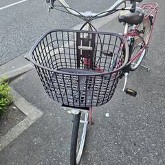 リサイクルショップどりーむ荒田店 No436　電動アシスト自転車　高年式の2024年モデル　パナソニック　24インチ　エコチャリNo22015Uの画像