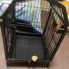 鳥籠の画像