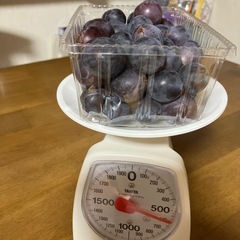 種なし巨峰　粒　600gの画像
