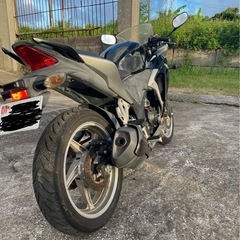 CBR250R MC41の画像
