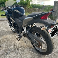 CBR250R MC41の画像