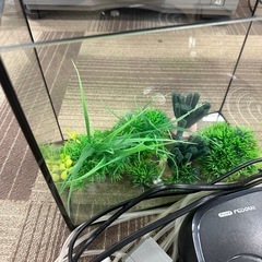 水槽セット
の画像