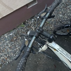 白色の自転車の画像