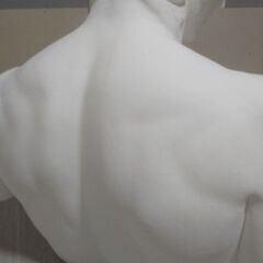 石膏像 マルスの画像