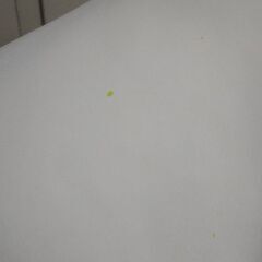 石膏像 マルスの画像