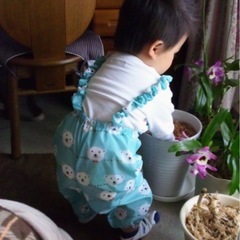 砂場服の画像