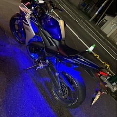 250CC、yzrの画像