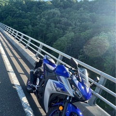 250CC、yzrの画像