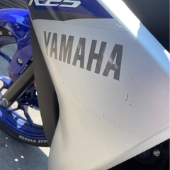 250CC、yzrの画像