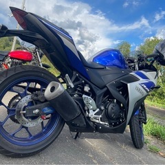 250CC、yzrの画像