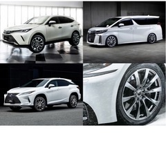 Lexus RX300 　Lefinada MOTION2 20インチ　の画像