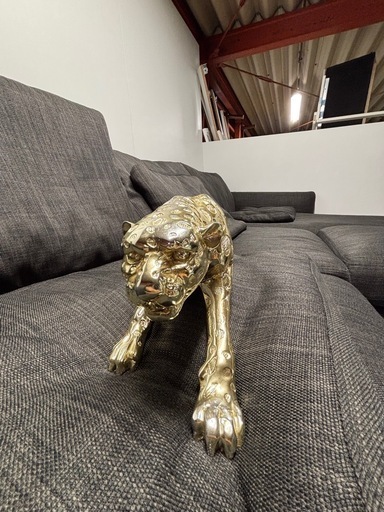 金の豹?