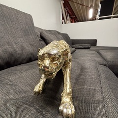 金の豹🐆の画像