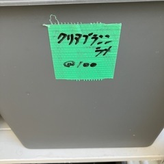 メダカ　クリアブラウンラメの画像