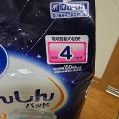 大人用紙パンツ　パッドの画像
