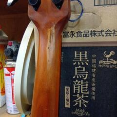 Ariaのアコースティックベースの画像