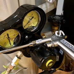 🔸お盆期間特価🔸コルレア2匹セットの画像