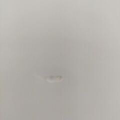 衣装ケース 39×74×30の画像