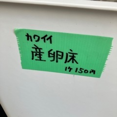 カワイイ🥰メダカの産卵床の画像