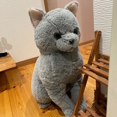 ほっこり猫　ごま助の画像