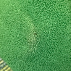 はらぺこあおむし　木馬　ロッキングの画像