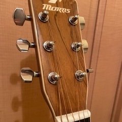 Aギター Morris M601  ハカランダの画像