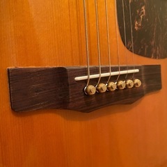 Aギター Morris M601  ハカランダの画像