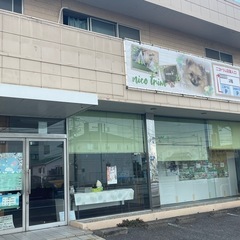 ペットホテルのお手伝いの画像