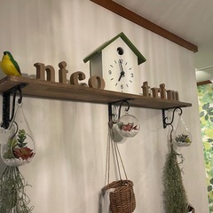 ペットホテルのお手伝いの画像