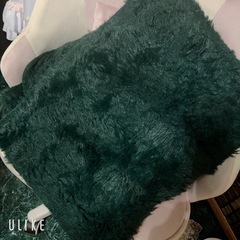 泡状フリース グリーンの画像