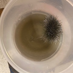 ACE 磁気バレル研磨機の画像