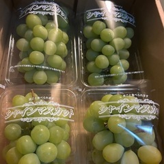 【急募】🍎 坂井商店 アルバイト・パート募集 🍊 の画像