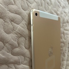 iPad mini4の画像
