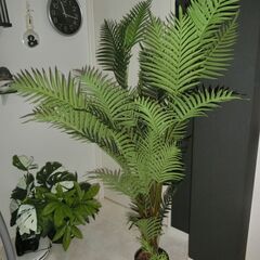 アレカヤシ フェイクグリーン 約160cm 木 観葉植物の画像