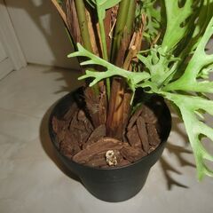アレカヤシ フェイクグリーン 約160cm 木 観葉植物の画像