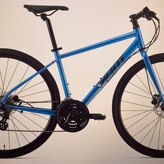 GIANT ESCAPE R DISC ブルーMサイズ　2025モデル
の画像