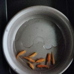 皇帝ダルマ　めだか　4ペアの画像