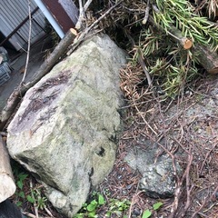 石と木の画像