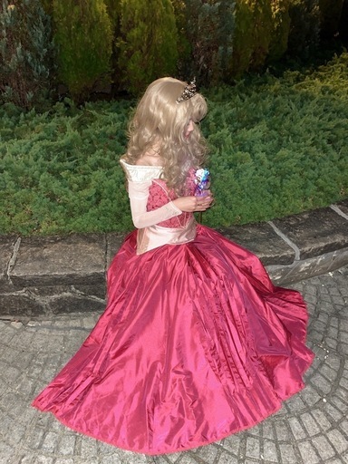 オーロラ姫 シークレットハニー 仮装セット