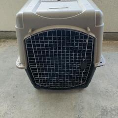 XLサイズ　中型犬〜大型犬の画像