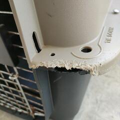 XLサイズ　中型犬〜大型犬の画像