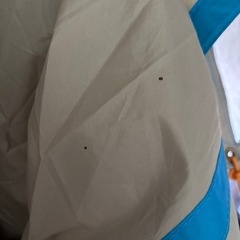 ロゴス ナバホ　ワンポールテントの画像