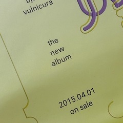 【非売品】bjork ビョーク『Vulnicura』ポスター　未使用品の画像