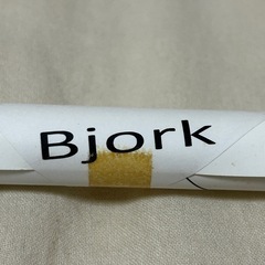 【非売品】bjork ビョーク『Vulnicura』ポスター　未使用品の画像