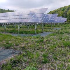 太陽光発電所の除草剤散布と刈払い（業務委託）の画像