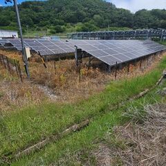 太陽光発電所の除草剤散布と刈払い（業務委託）の画像