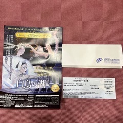 キーウバレエ「白鳥の湖全2幕」チケット1枚呉信用金庫ホールの画像