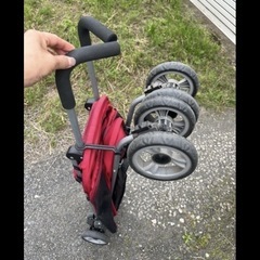 犬　ドッグバギーの画像